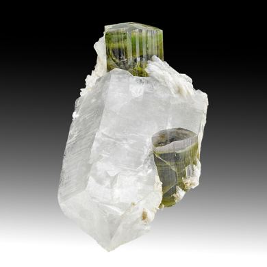 Elbaite with Quartz