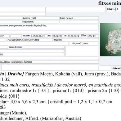 Dravite with Muscovite