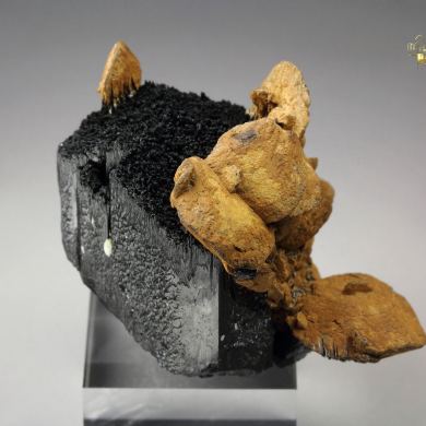 GOETHITE pseudomorph after SIDERITE, TOURMALINE var. SCHORL