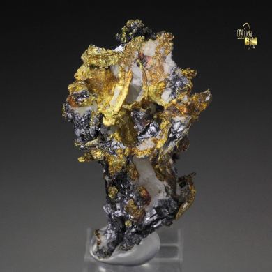 GOLD, GALENA