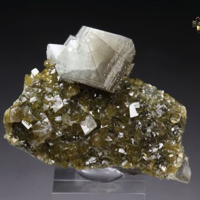 gemmy WARDITE, EOSPHORITE