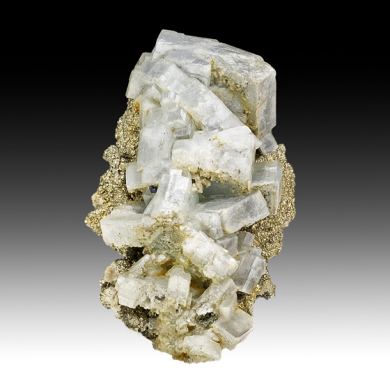 Barite with Pyrite