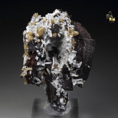 BULTFONTEINITE, OLMIITE