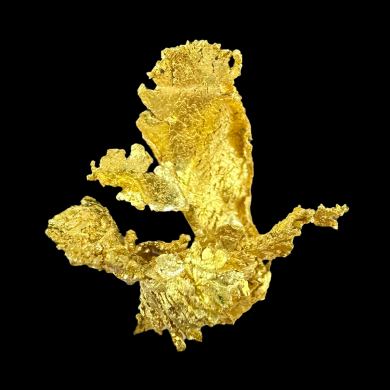 Gold TN!
