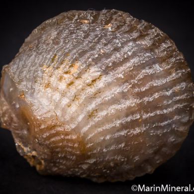 Agate after Shell