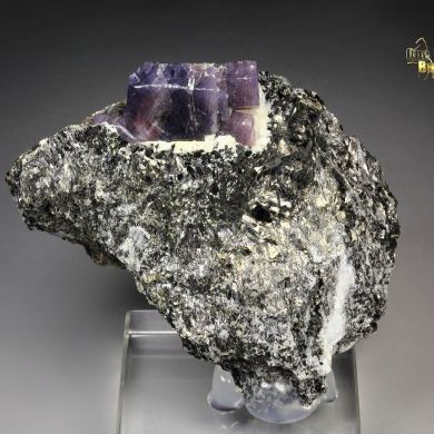 bi-color CORUNDUM var. RUBY, MUSCOVITE