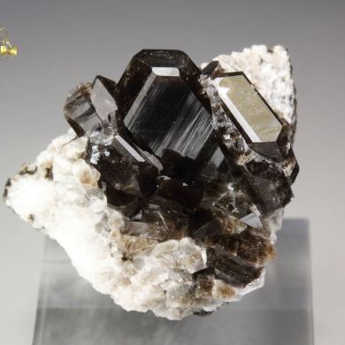 twinned ALBITE with STILPNOMELANE inclusions