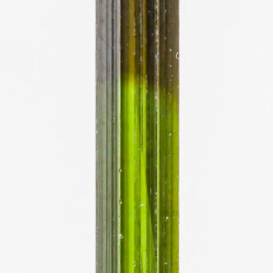 Tourmaline
