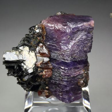 CORUNDUM var. RUBY, MUSCOVITE