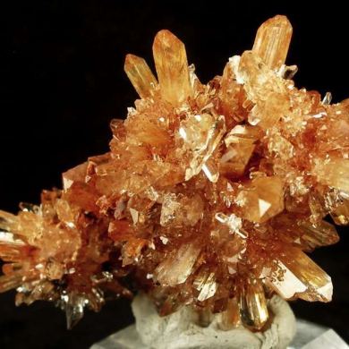 Creedite