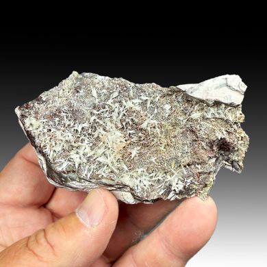 Mordenite