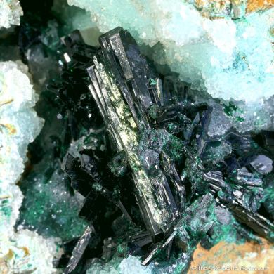 Atacamite with Quartz