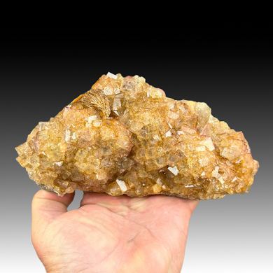 Fluorite with Barite