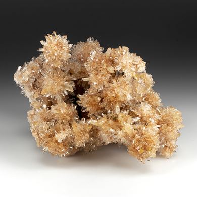 Creedite