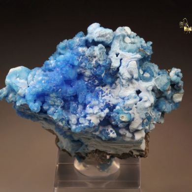 EVANSITE