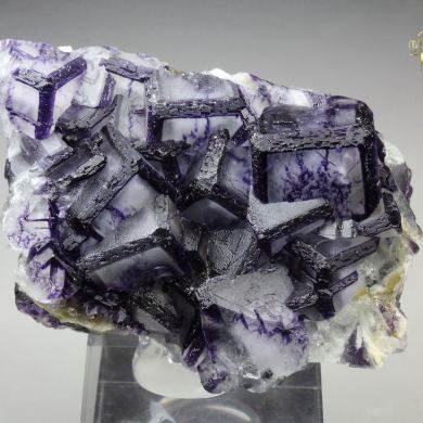 FLUORITE with PHANTOMS - border pattern
