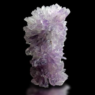 Amethyst / Amethystflower – Irai, Rio Grande do Sul, Brazil