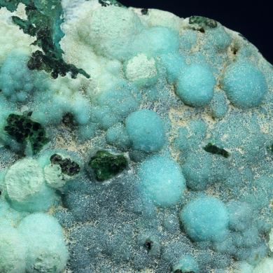 Gem Chrysocolla with Malachite and Tenorite
