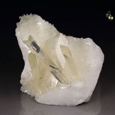 twinned GYPSUM var. SELENITE