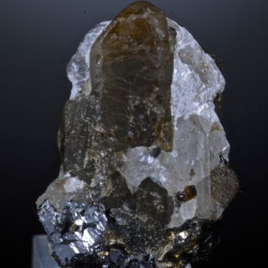 Bustamite, Calcite, Sphalerite, Chalcopyrite etc.