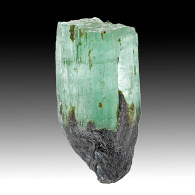Beryl