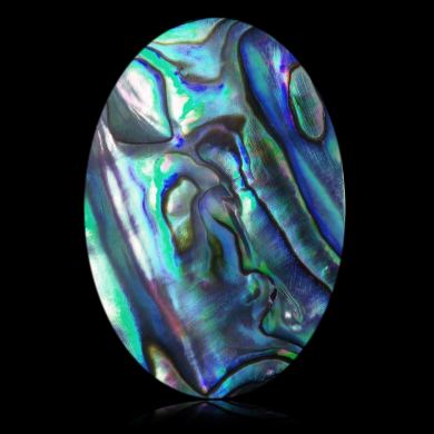 Abalone 37,64 ct 