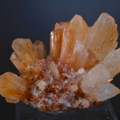 Creedite